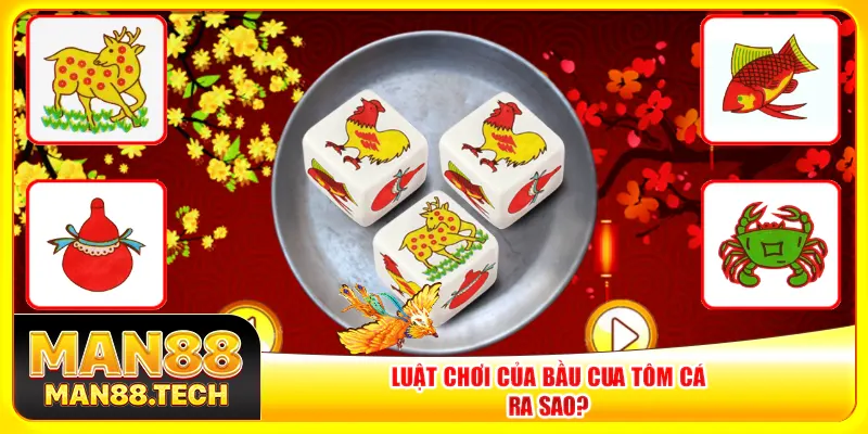 Luật chơi của bầu cua tôm cá ra sao? Luật chơi của bầu cua tôm cá ra sao?