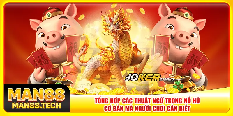 Tổng hợp các thuật ngữ trong nổ hũ cơ bản mà người chơi cần biết Tổng hợp các thuật ngữ trong nổ hũ cơ bản mà người chơi cần biết
